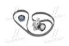 Комплект ременя генератора Renault Clio, Kangoo, Laguna, Megane, Scenic 1.4/1.6 VKMA 36209