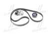 Комплект ремня генератора Renault Clio,Kangoo,Laguna,Megane,Scenic 1.4/1.6 SKF VKMA 36209 (фото 3)