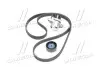 Комплект ремня генератора Renault Clio,Kangoo,Laguna,Megane,Scenic 1.4/1.6 SKF VKMA 36209 (фото 4)