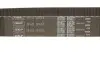 Комплект ГРМ Mitsubishi Pajero 3.0 V6 94-99 (31.8x187z) SKF VKMA 95613 (фото 3)