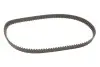 Комплект ГРМ Hyundai Tucson/Elantra 2.0 95-/Kia Cerato/Sportage 2.0 04- (25.4x113) SKF VKMA95656 (фото 4)