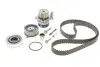 Комплект ГРМ + насос Skoda Octavia/VW Golf IV 1.9 TDI 96-05 (25x141z) SKF VKMC 01130 (фото 1)