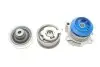 Комплект ГРМ + насос Skoda Octavia/VW Golf IV 1.9 TDI 96-05 (25x141z) SKF VKMC 01130 (фото 4)