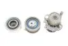 Комплект ГРМ + насос Skoda Octavia/VW Golf IV 1.9 TDI 96-05 (25x141z) SKF VKMC 01130 (фото 6)