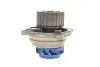 Комплект ГРМ + насос Audi A3/Skoda Octavia/VW Golf 2.0FSI 04-10 (23x148) SKF VKMC 01222-1 (фото 7)