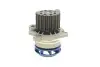 Комплект ГРМ + помпа VW Passat B6/Golf V 2.0TDi 03- (30x141z) SKF VKMC 01255-1 (фото 6)