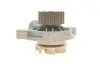 Комплект ГРМ + насос Audi A6/VW LT/T4 2.5TDI 91-06 (26.5x122) SKF VKMC 01270 (фото 6)