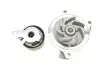 Комплект ГРМ + насос VW T4 2.4D 90-03, 55/57kw, AJA/AAB SKF VKMC 01271 (фото 5)