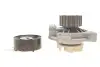 Комплект ГРМ + насос VW T4 2.4D 90-03, 55/57kw, AJA/AAB SKF VKMC 01271 (фото 6)