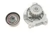 Комплект ГРМ + насос VW T4 2.4D 90-03, 55/57kw, AJA/AAB SKF VKMC 01271 (фото 7)