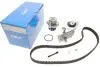 Комплект ГРМ + помпа Audi A4/A6/Seat Exeo/VW Passat 5.5 1.8T 95-10 (23x150z) SKF VKMC 01918-1 (фото 1)