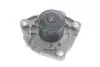 Комплект ГРМ + насос Fiat Doblo 1.6D Multijet 10- (194x24) SKF VKMC 02199-2 (фото 4)