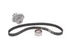 Комплект ГРМ + насос Fiat Doblo/Fiorino 1.2-1.4 01- (22x129z) (VKPC 82100) SKF VKMC 02206-2 (фото 1)