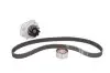 Комплект ГРМ + насос Fiat Doblo/Fiorino 1.2-1.4 01- (22x129z) (VKPC 82100) SKF VKMC 02206-2 (фото 2)