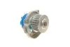 Комплект ГРМ + насос Fiat Doblo/Fiorino 1.2-1.4 01- (22x129z) (VKPC 82251) SKF VKMC 02206 (фото 6)