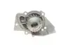 Комплект ГРМ + помпа Citroen Berlingo/Jumpy/Peugeot Expert/Partner 2.0HDI 98-11 (25x141) SKF VKMC 03247 (фото 6)