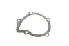 Комплект ГРМ + помпа Citroen Berlingo/Jumpy/Peugeot Expert/Partner 2.0HDI 98-11 (25x141) SKF VKMC 03247 (фото 7)