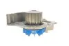 Комплект ГРМ + помпа Fiat Scudo/Citroen Jumpy 2.0HDI/D Multijet 07- (25.4x116) SKF VKMC 03257 (фото 7)