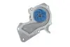Комплект ГРМ + помпа Ford C-Max/Fiesta/Focus/Mondeo/Mazda 3 1.2-1.6 07-12 (22x117z)(VKPC 84217) SKF VKMC 04226 (фото 4)