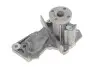 Комплект ГРМ + помпа Ford C-Max/Fiesta/Focus/Mondeo/Mazda 3 1.2-1.6 07-12 (22x117z)(VKPC 84217) SKF VKMC 04226 (фото 5)
