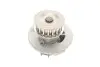 Комплект ГРМ + помпа DAEWOO/OPEL Espero/AstraFG/Combo/CorsaAB/KadettE/VectraAB &quot;1,2-1,6 &quot;86-05 SKF VKMC 05121 (фото 8)