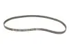 Комплект ГРМ + насос Opel Astra G/Vectra/Combo 1.6 05-/Skoda Fabia 1.4 04-07 (20x162z)(VKPC 85211) SKF VKMC 05156-2 (фото 2)