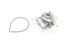 Комплект ГРМ + насос Opel Astra J/Insignia A/Mokka/Zafira 1.6-1.8 08- (24x146z) SKF VKMC 05260-1 (фото 13)