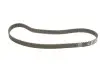 Комплект ГРМ + помпа NISSAN/OPEL/RENAULT Primastar/Movano/Masterr/Laguna &quot;1,9-2,0D &quot;95&gt;&gt; SKF VKMC 06127 (фото 2)