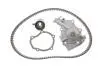 Комплект ГРМ + помпа Chevrolet Kalos/Daewoo Matiz 1.0/1.2i 03- SKF VKMC 90008 (фото 1)
