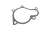 Комплект ГРМ + насос Hyundai Santa Fe/Tucson 2.0/2.2 CRDi 01-12 SKF VKMC 95660-3 (фото 10)