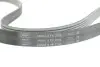 Ремень поликлин. SKF VKMV6PK2196 (фото 2)