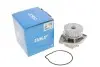 Насос води Seat Corodba/Ibiza/VW Caddy/Polo 1.0i/1.4 96-02 (27z) SKF VKPC 81215 (фото 4)