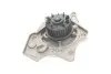 Насос Водяний SKF VKPC 81242 (фото 7)