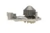 Помпа води Renault Kangoo/Megane/Clio 1.4/1.4i/1.4e 96- SKF VKPC 86216 (фото 5)
