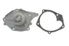 Насос воды Renault Kangoo/Megane/Scenic/Clio 1.5dCi 01- VKPC 86417