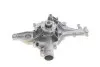Насос воды MB Vito (W639) 3.0i/3.2i/3.7i/E-class (W210) 2.4i-5.5i -02, M112/M113 SKF VKPC 88846 (фото 4)