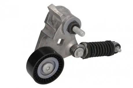 Натяжник ремня генератора Ford Transit 2.0DI 00- SNR NTN GA352.59
