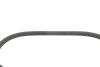 Комплект ременя генератора Citroen C3/C4/Peugeot 208/308 1.2 THP 13- SNR NTN KA859.70 (фото 3)