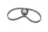 Комплект ГРМ Ford Connect/Focus/Mondeo 1.8TDCI 02- (20x91z) SNR NTN KD452.22 (фото 1)