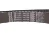 Комплект ГРМ Skoda Octavia/VW Golf 2.0TDI 03- SNR NTN KD457.50 (фото 13)