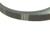 Комплект ГРМ Subaru Forester/Impreza/Legacy 2.0/2.5 AWD 05-14 SNR SNR NTN KD481.05 (фото 3)