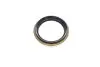 Подшипник ступицы (передней) Toyota Carina/Rav4 83-02 (36x74x38) (к-кт) SNR NTN R169.26 (фото 10)
