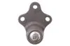 Опора кульова (передня/знизу) Citroen Berlingo/Peugeot Partner 1.8i/1.9D 96-08 Solgy 203019 (фото 3)