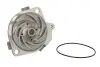 Водяний насос THERMOTEC D1F035TT (фото 1)