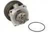 Водяной насос THERMOTEC D1F070TT (фото 1)