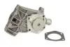 Водяний насос THERMOTEC D1S006TT (фото 1)
