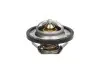 Термостат THERMOTEC D2R001TT (фото 1)