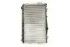 Радиатор THERMOTEC D70009TT (фото 1)