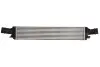 Інтеркулер THERMOTEC DAA019TT (фото 1)