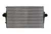 Інтеркулер THERMOTEC DAV002TT (фото 1)